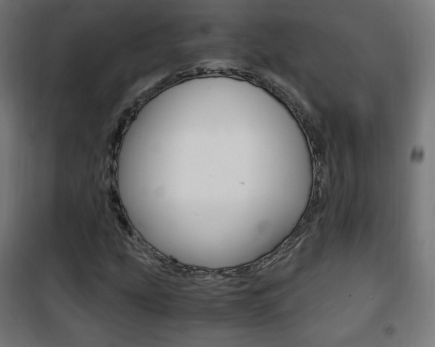 X0000101391207200807070957