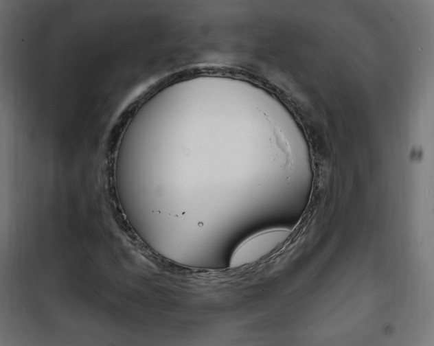 X0000101391208200807070957