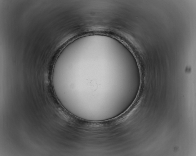 X0000101391209200807070957