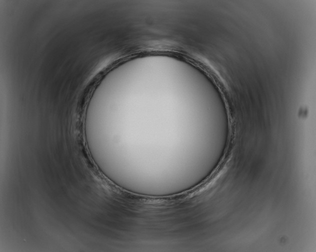 X0000101391211200807070957