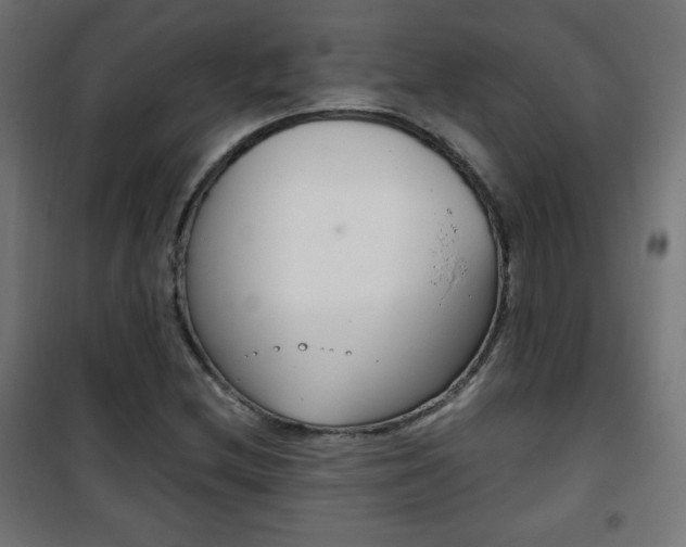 X0000101391212200807070957