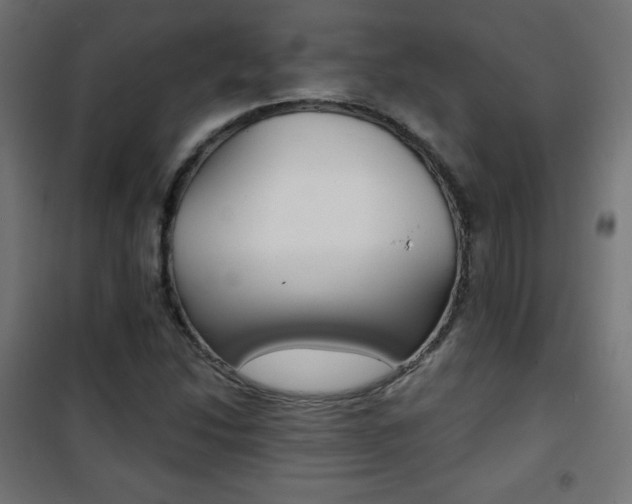 X0000101391214200807070957