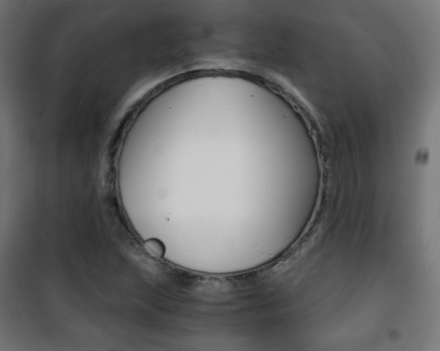 X0000101391215200807070957