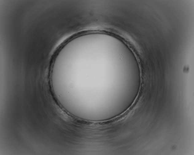 X0000101391216200807070957