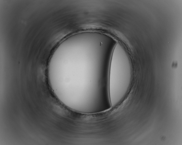 X0000101391217200807070957