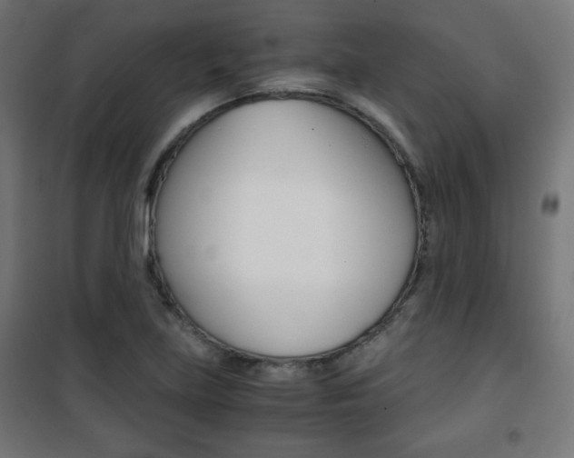 X0000101391219200807070957