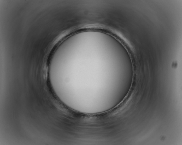 X0000101391221200807070957