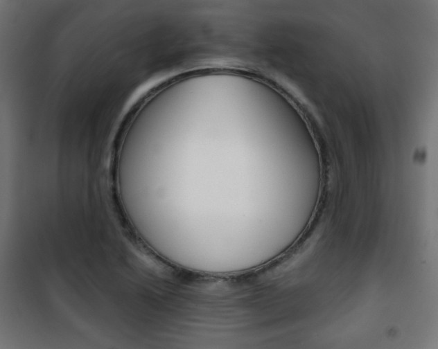 X0000101391222200807070957