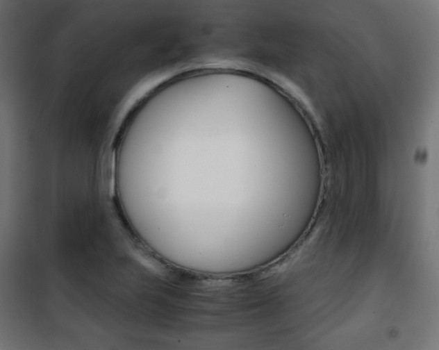 X0000101391223200807070957