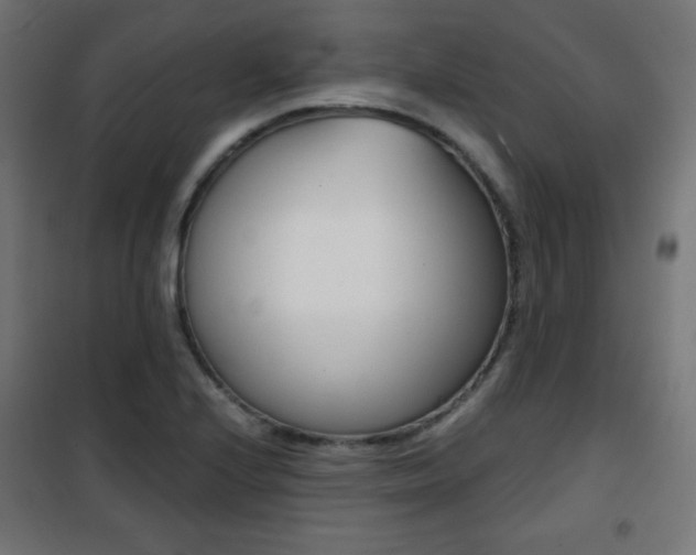 X0000101391224200807070957