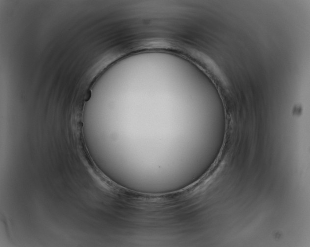 X0000101391225200807070957