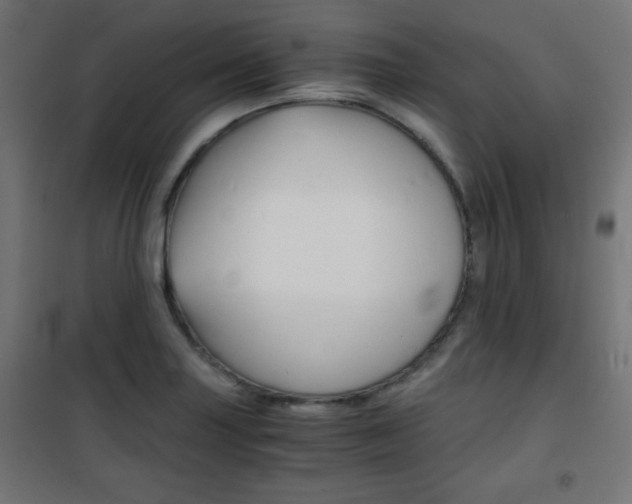 X0000101391227200807070957