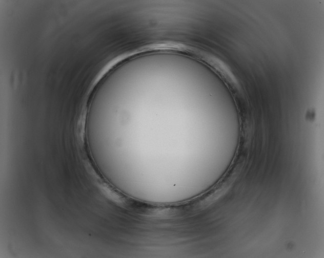 X0000101391228200807070957
