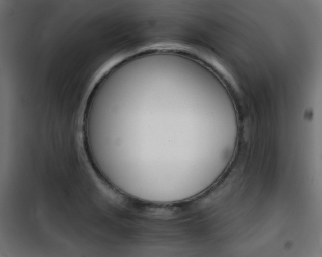 X0000101391229200807070957
