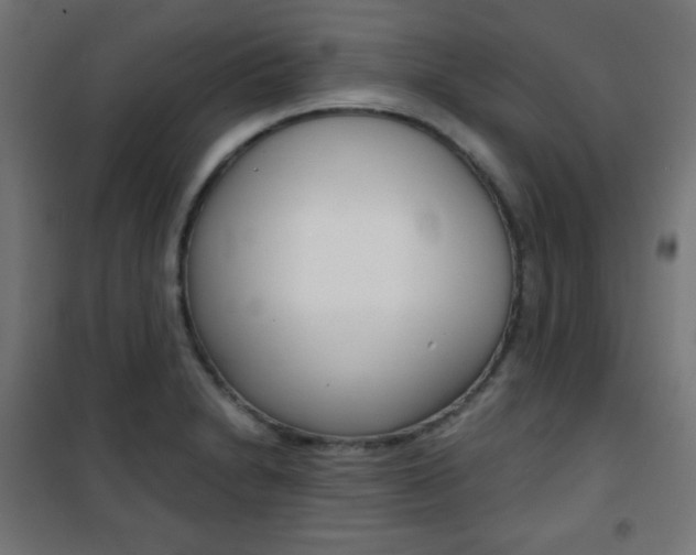 X0000101391230200807070957