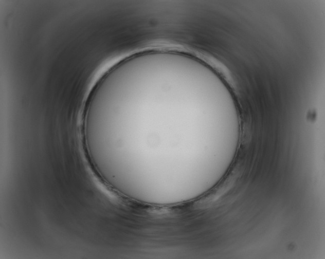 X0000101391231200807070957