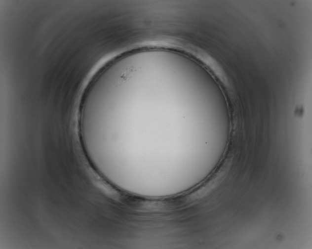 X0000101391232200807070957