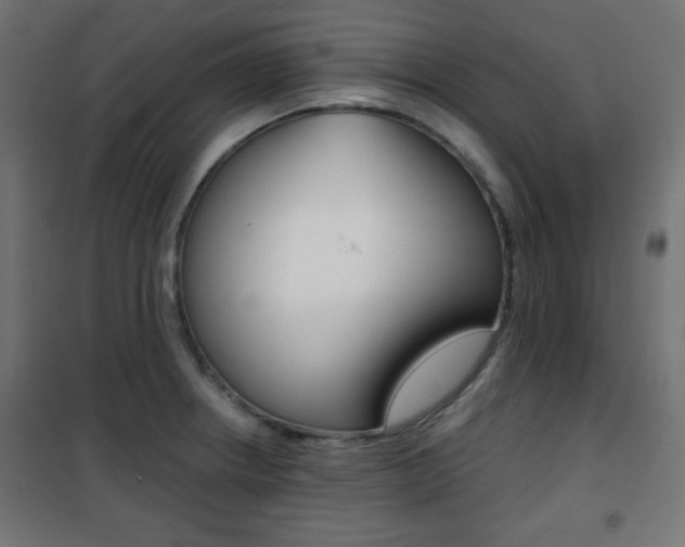 X0000101391234200807070957