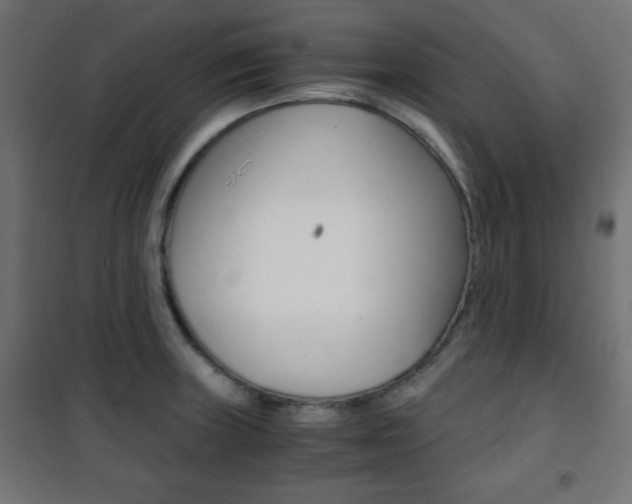 X0000101391235200807070957