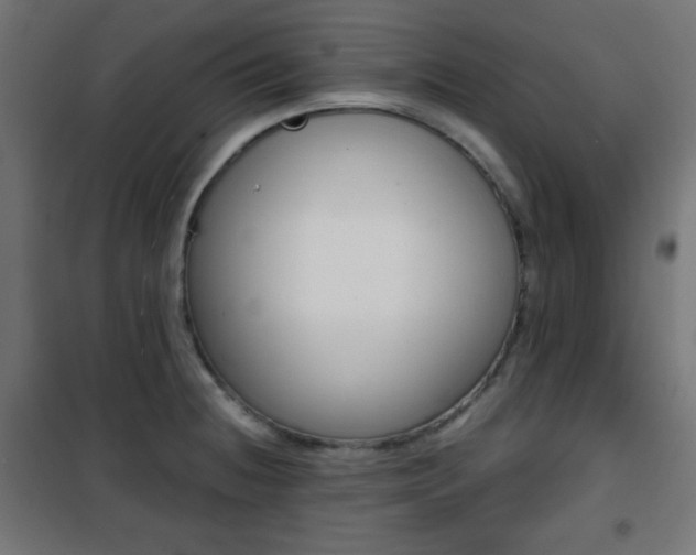X0000101391236200807070957