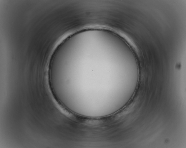 X0000101391237200807070957