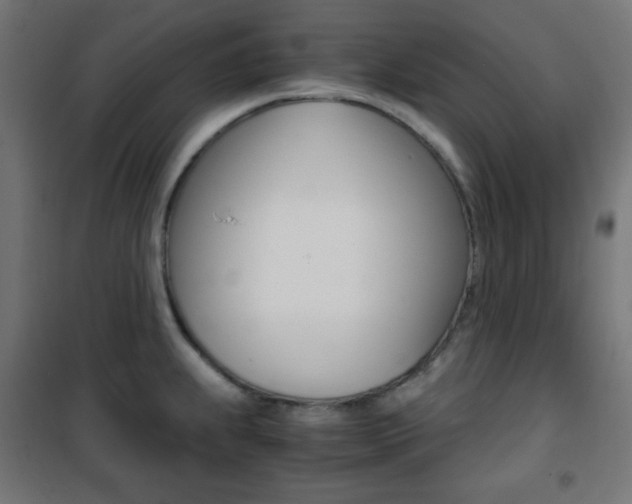 X0000101391239200807070957
