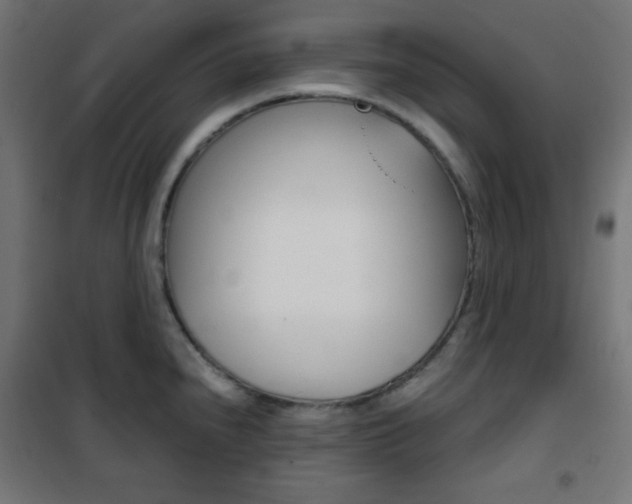 X0000101391240200807070957