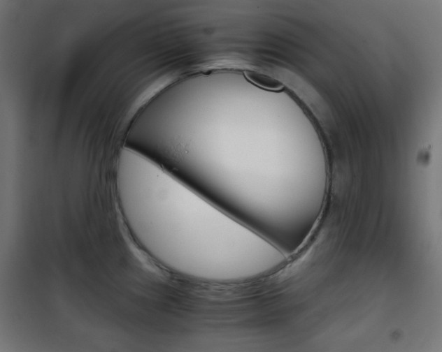 X0000101391241200807070957