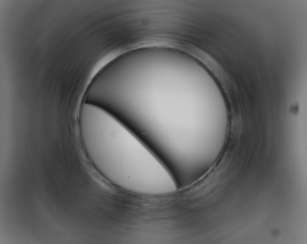 X0000101391242200807070957