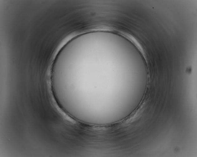 X0000101391243200807070957