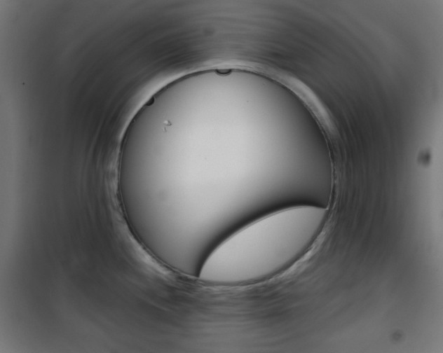 X0000101391244200807070957