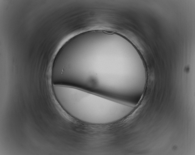 X0000101391246200807070957
