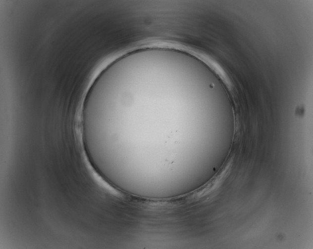X0000101391247200807070957
