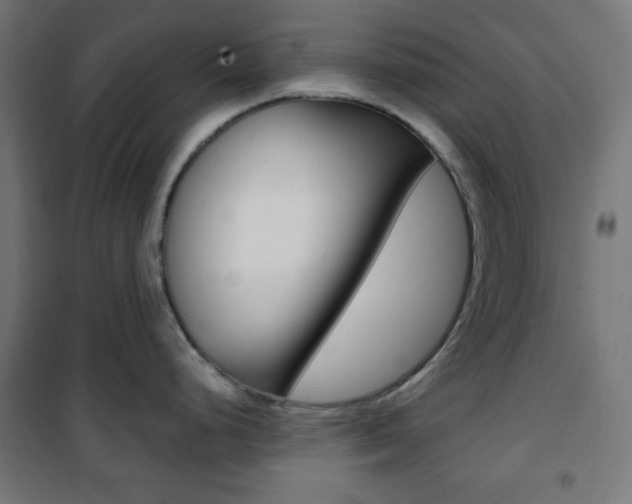 X0000101391248200807070957