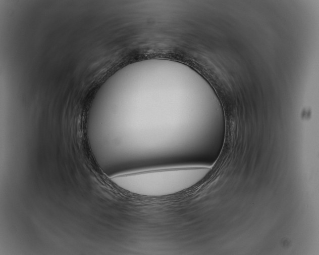 X0000101391250200807070957