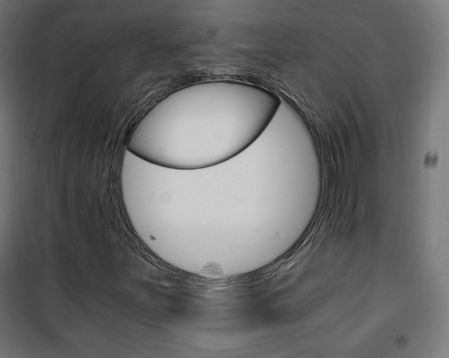X0000101391251200807070957