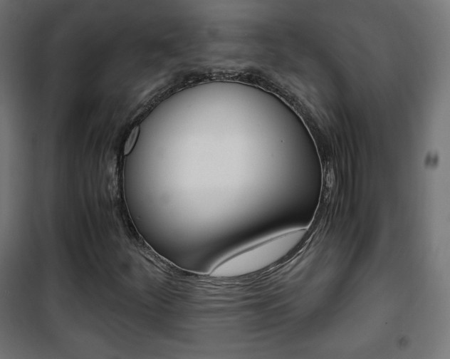 X0000101391252200807070957