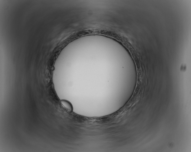 X0000101391253200807070957