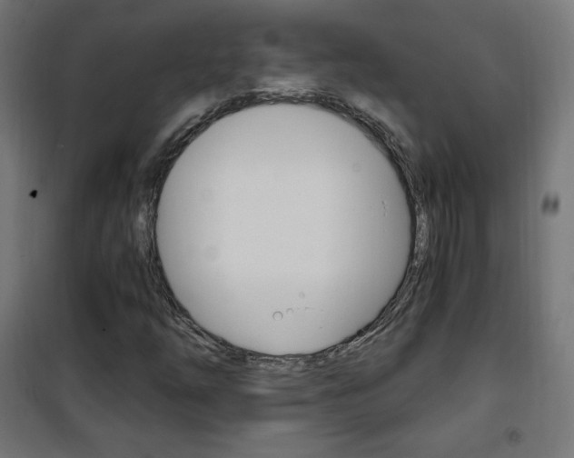 X0000101391254200807070957