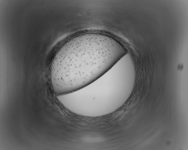X0000101391255200807070957