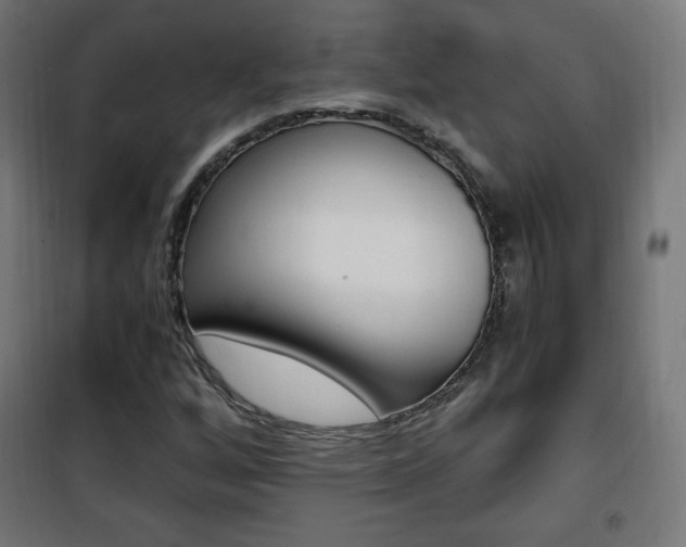 X0000101391256200807070957