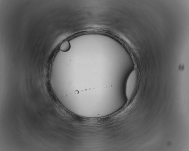 X0000101391259200807070957
