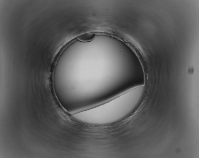 X0000101391260200807070957