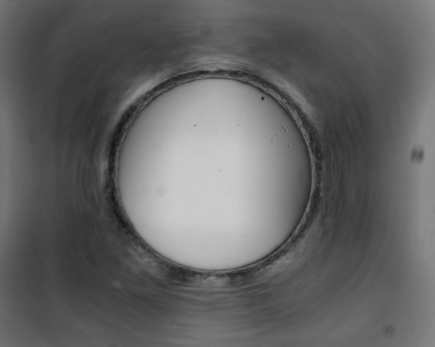 X0000101391261200807070956