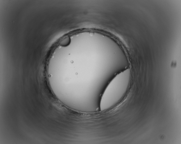 X0000101391263200807070956