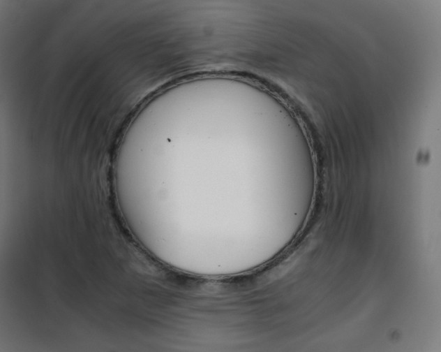 X0000101391265200807070956