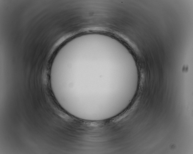 X0000101391266200807070956