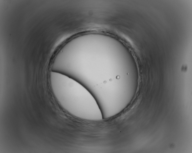 X0000101391267200807070956