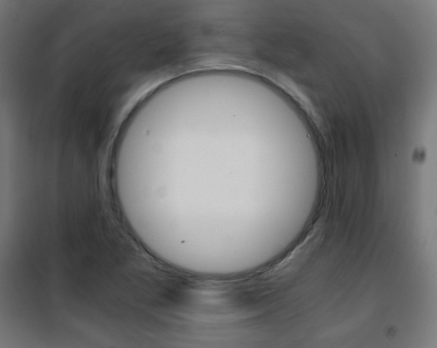X0000101391269200807070956