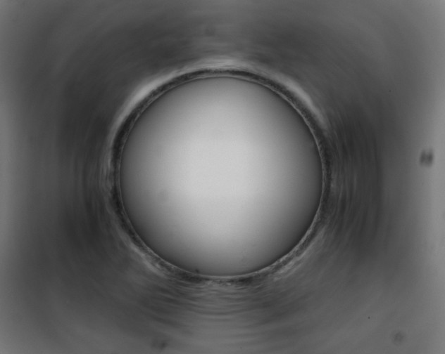 X0000101391270200807070956